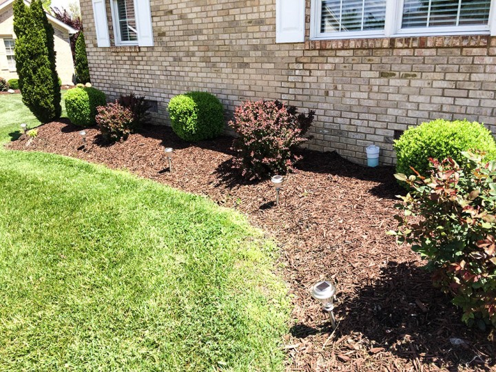 Gable Mulch Bed & Shrubs